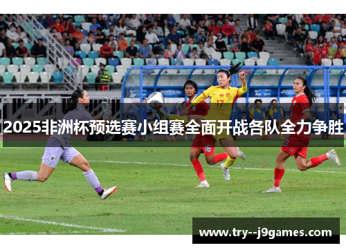 2025非洲杯预选赛小组赛全面开战各队全力争胜